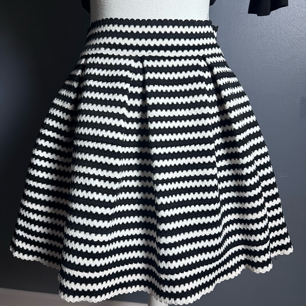 Express Box Pleated Structured Skirt Size Small - image 4